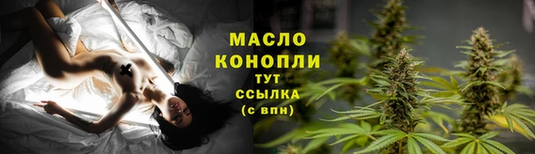 метадон Богданович